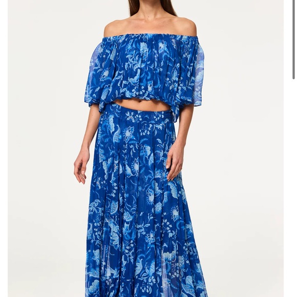 Misa Los Angeles Dresses & Skirts - Misa Los Angeles - Marie Skirt Blue Floral